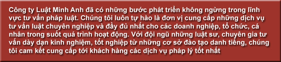 Một số Fage Facebook công ty Luật Minh Anh